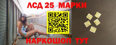 прущие грибы Кунгур