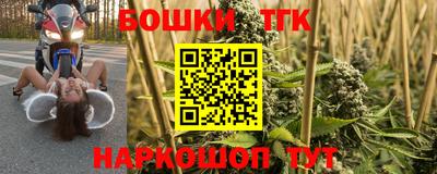 прущие грибы Кунгур