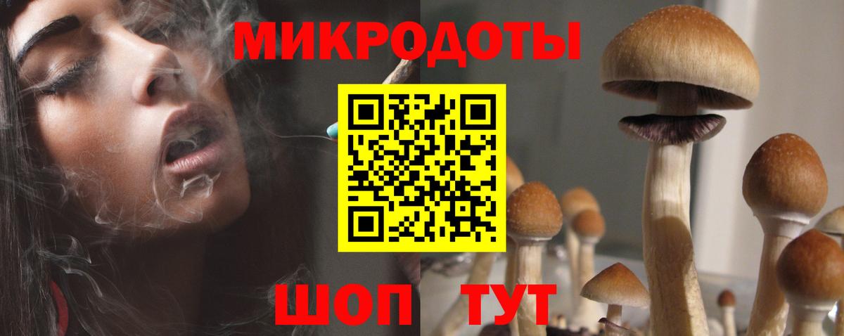 Псилоцибиновые грибы Psilocybe  Вход с VPN  Чайковский 