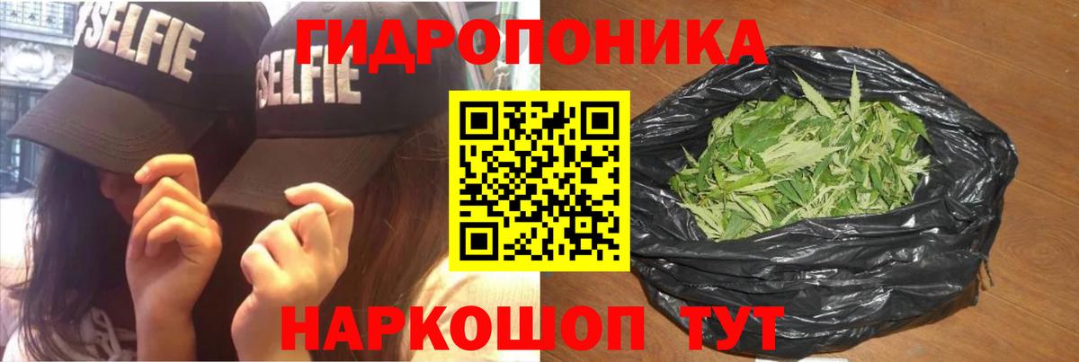 Бошки Шишки сатива  МАРИХУАНА план  Бошки Шишки индика  Вход с VPN  Марихуана тримм  Чайковский 
